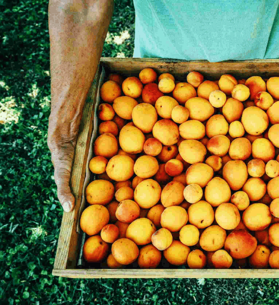 A man holding a crate of fruit