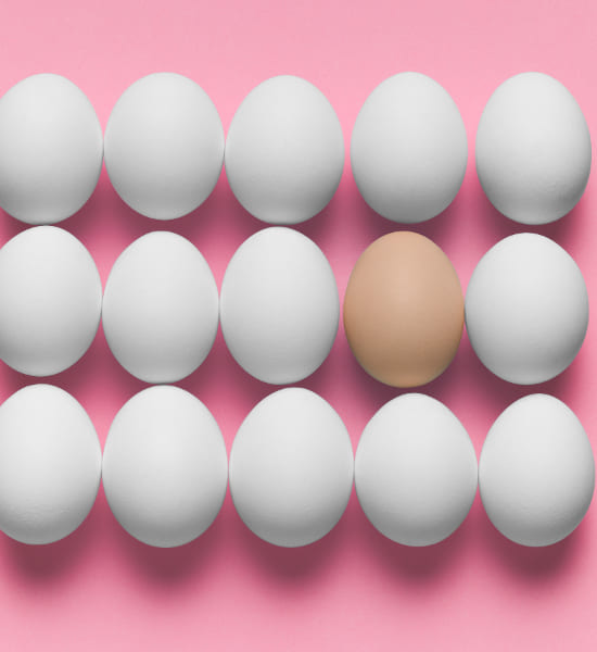 eggs image