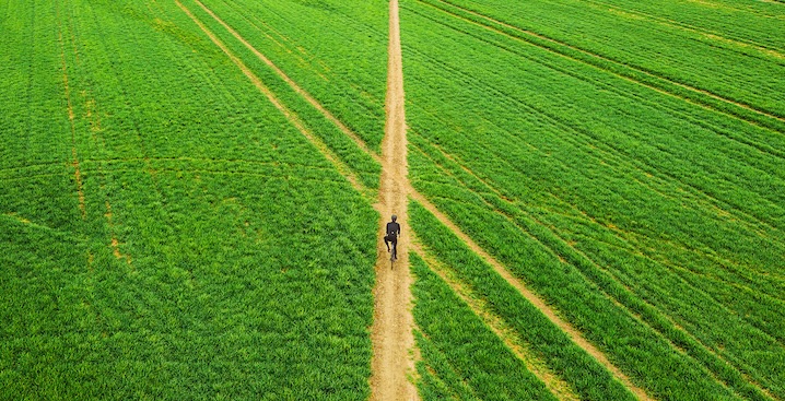 Person walking along a narrow dirt path through a vast green field, viewed from above