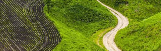 Un sendero sinuoso en la naturaleza, que atraviesa una pradera.