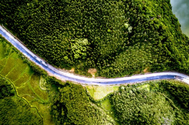 Long gravel road travelling through a forest.