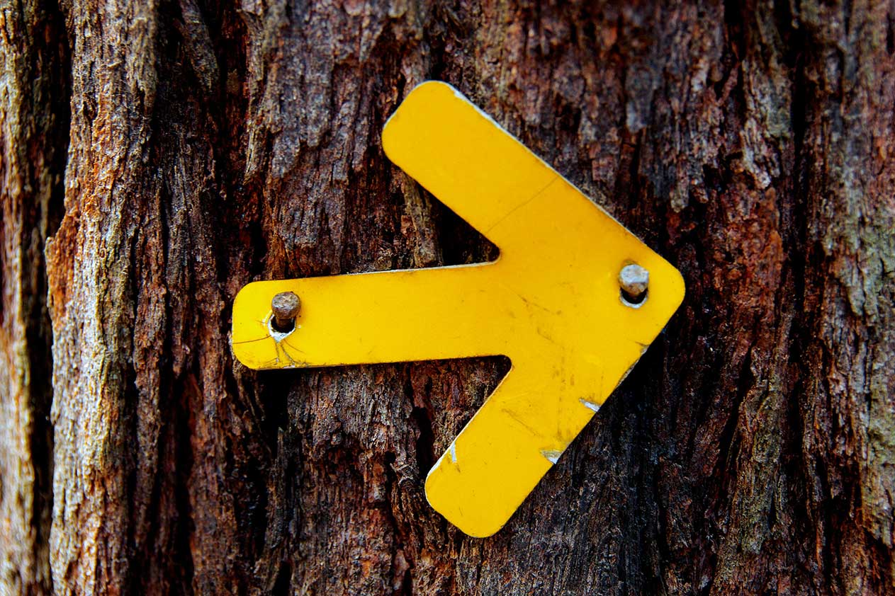 Bild einer Person, die Münzen in der Hand hält