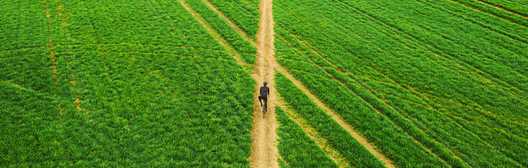 Hombre montando en bicicleta en un campo verde
