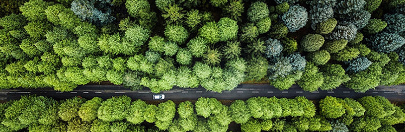 Auto fährt durch einen Wald, Aufnahme von oben