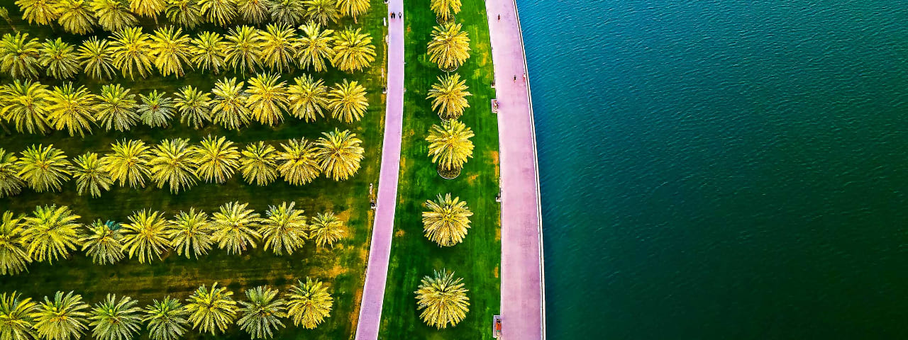 Palm trees on an island from a top view