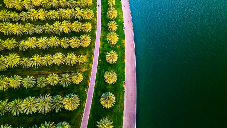 Birds eye view of an island with palm trees at the coast