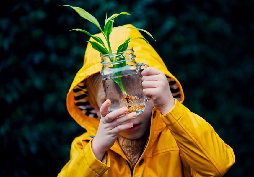 Boy growing a plant in a mason jar
