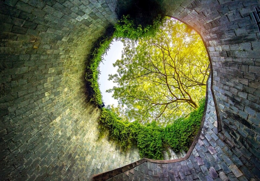 A tree visual at the end of a dark tunnel, framed by the tunnel's curved walls.