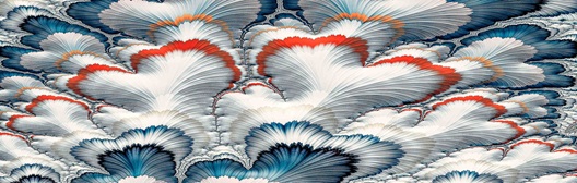 Image shows feathers up close.