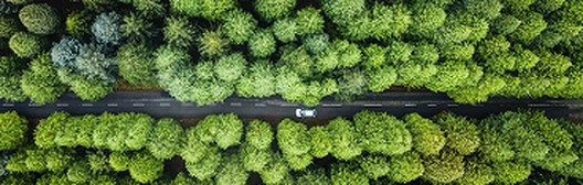 Aerial view of a car driving along a road cutting through a dense green forest
