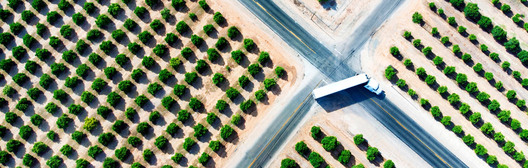 Aerial view of a truck traveling through an intersection surrounded by rows of trees
