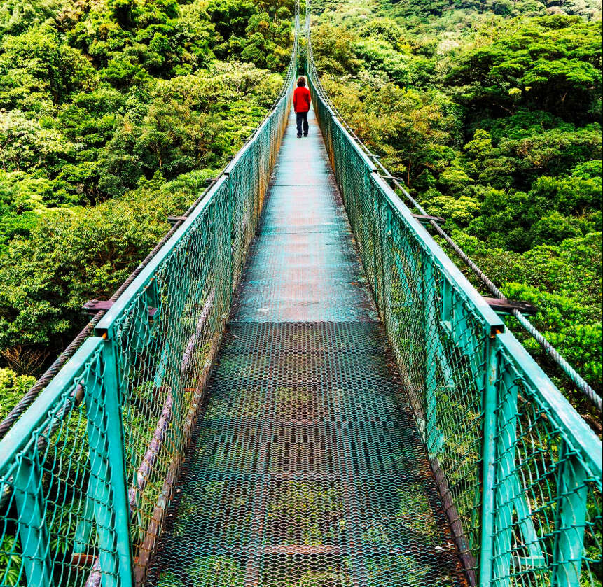 Blue bridge in the forrest