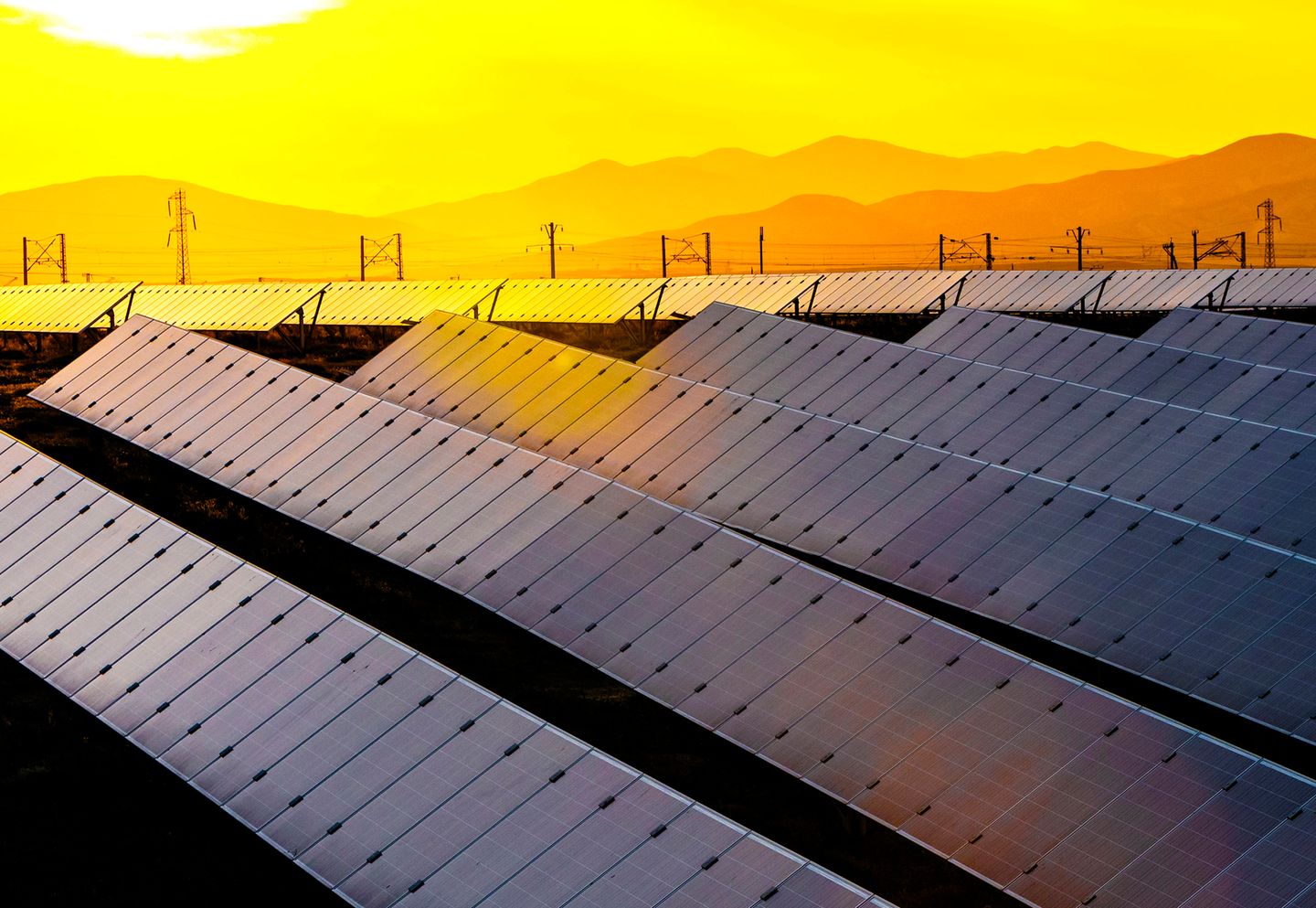 solar panel farm at susnset
