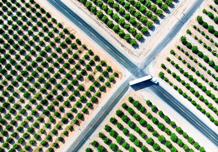 Aerial view of a truck traveling through an intersection surrounded by rows of trees.