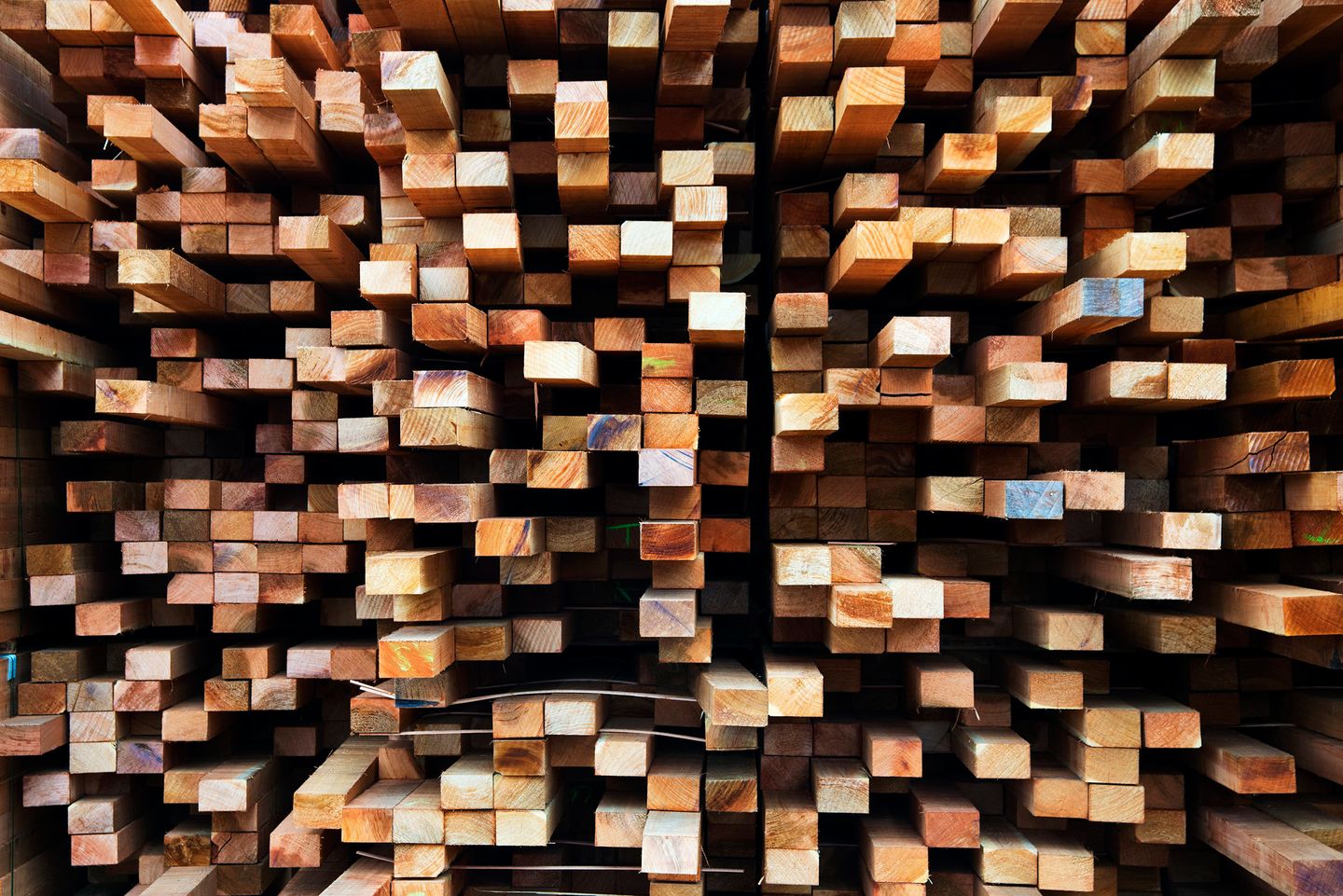 Pieces of wood in various sizes. 