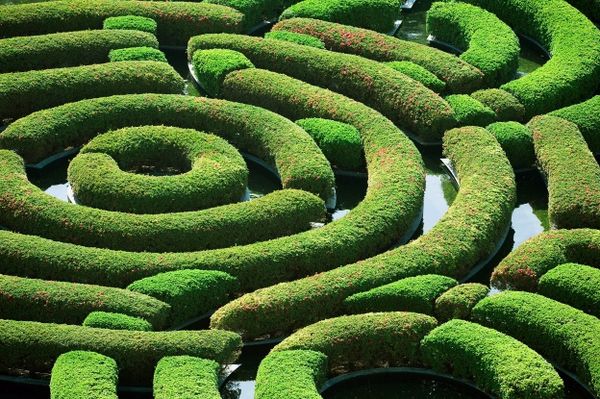 Green hedge maze illustrating LifePath target date strategies