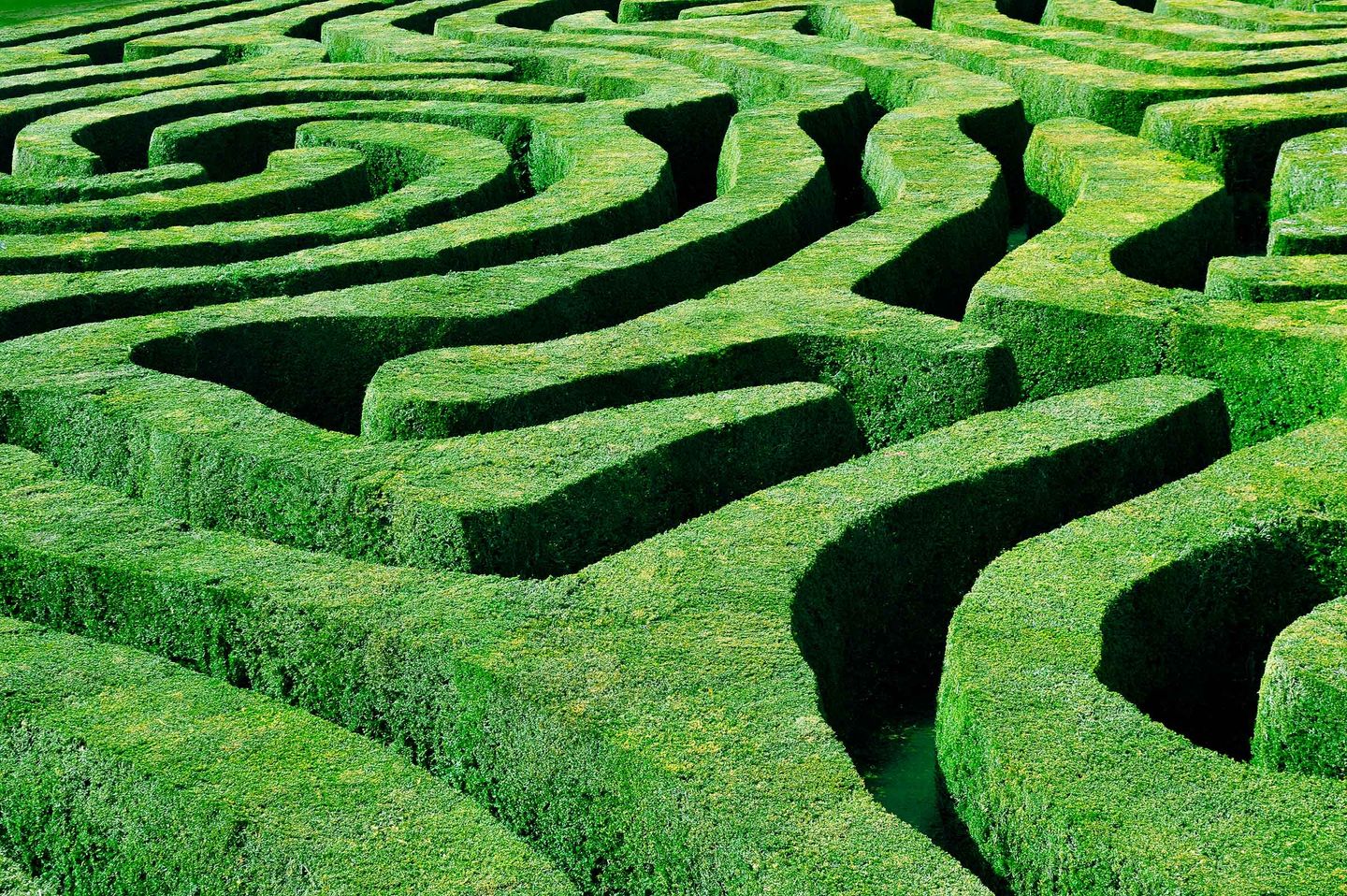 SITUATIONS - strategy