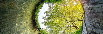 A tree visual at the end of a dark tunnel, framed by the tunnel's curved walls