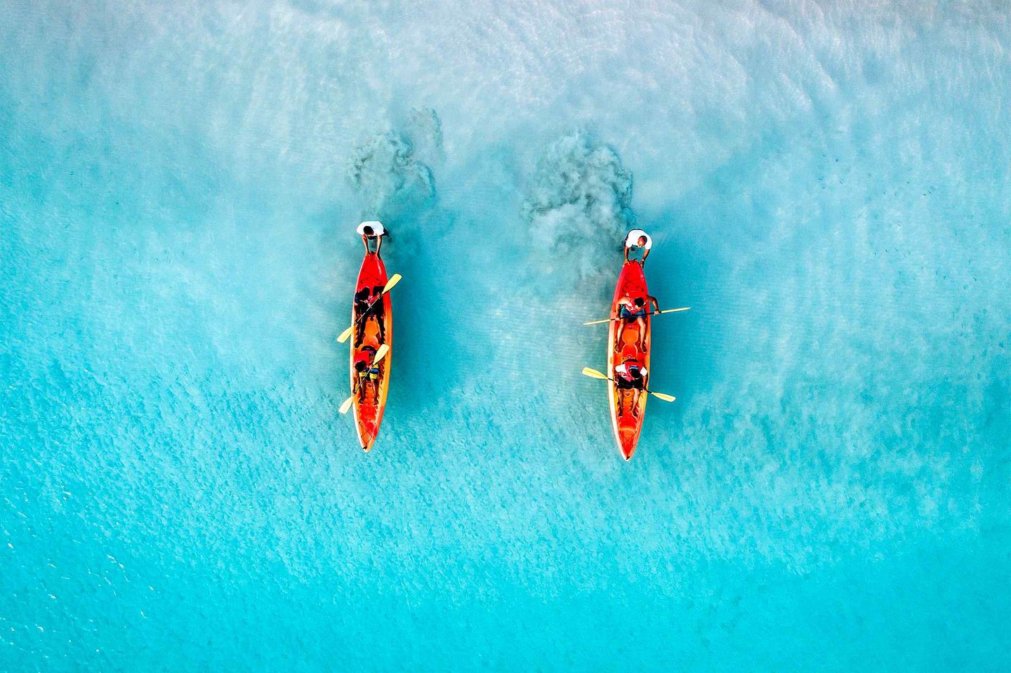 Two groups of institutional investors paddling across water