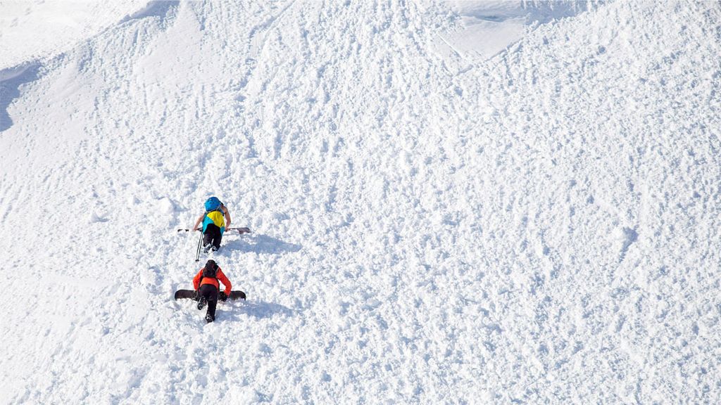 Financial Markets Advisory