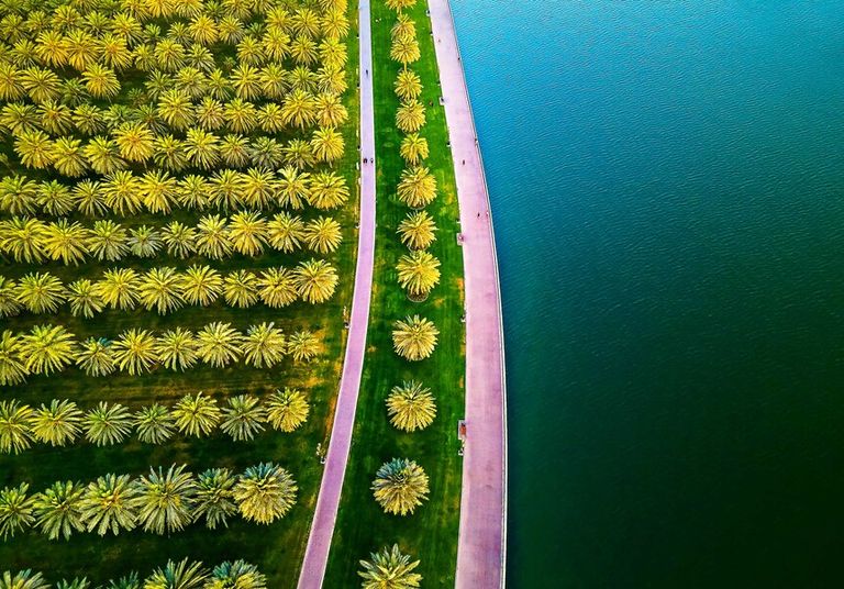Sharjah oasis with a large public park area with palm trees and grass field by the Al Noor island at Sharjah Emirate of the United Arab Emirates aerial top view