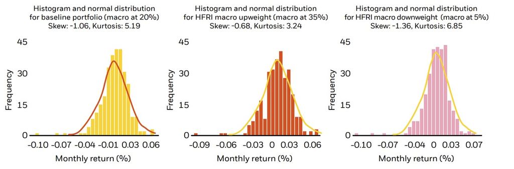 Histogram and distribution of returns by macro weight
