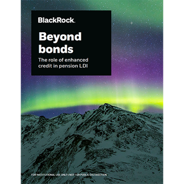 cover page of beyond bonds