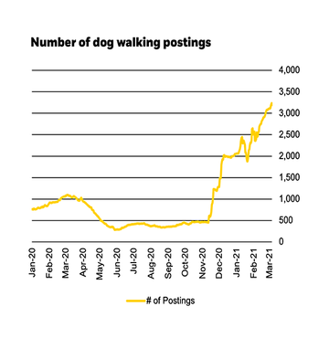Number of dog walking postings