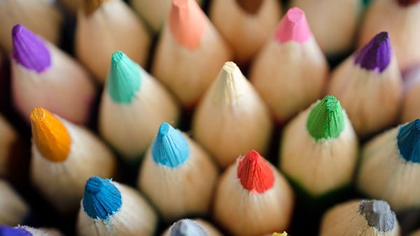 bundle of color pencils