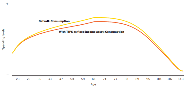 Chart comparing expected lifetime consumption based on BlackRock's framework default assumptions against the expected consumption that assumes a persistent allocation to TIPS.