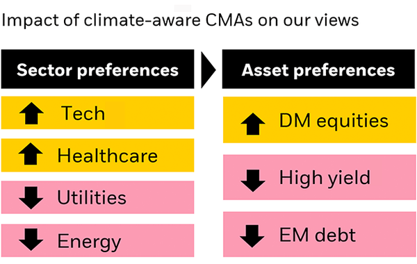 Our investment views