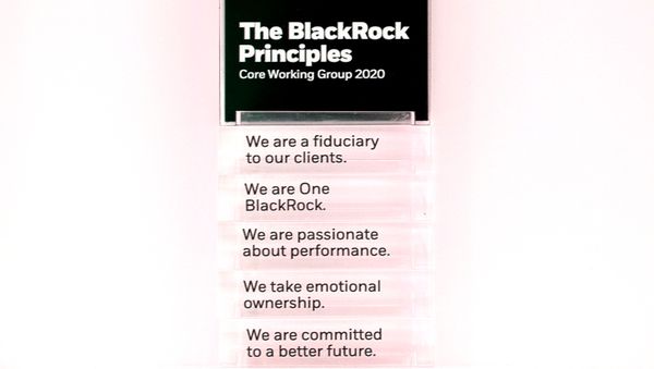 Principles plexi display