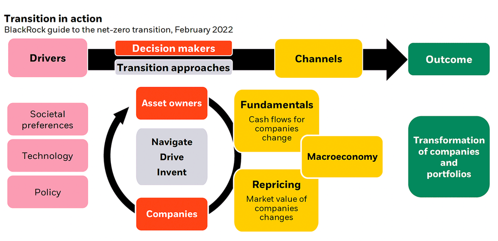 This chart shows the three main drivers of the net-zero transition and how key players in the economy respond to these drivers.
