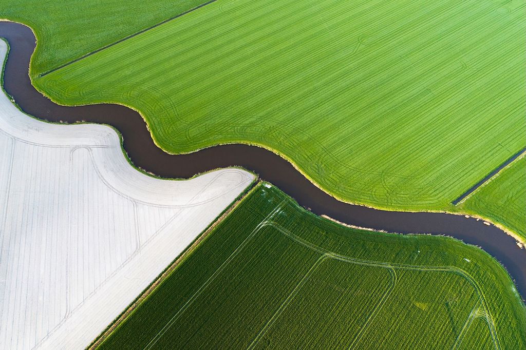 green field