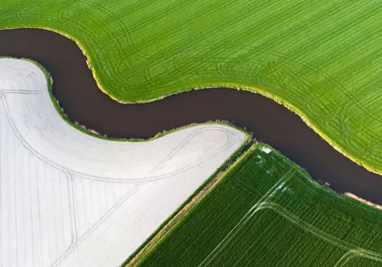 Green fields