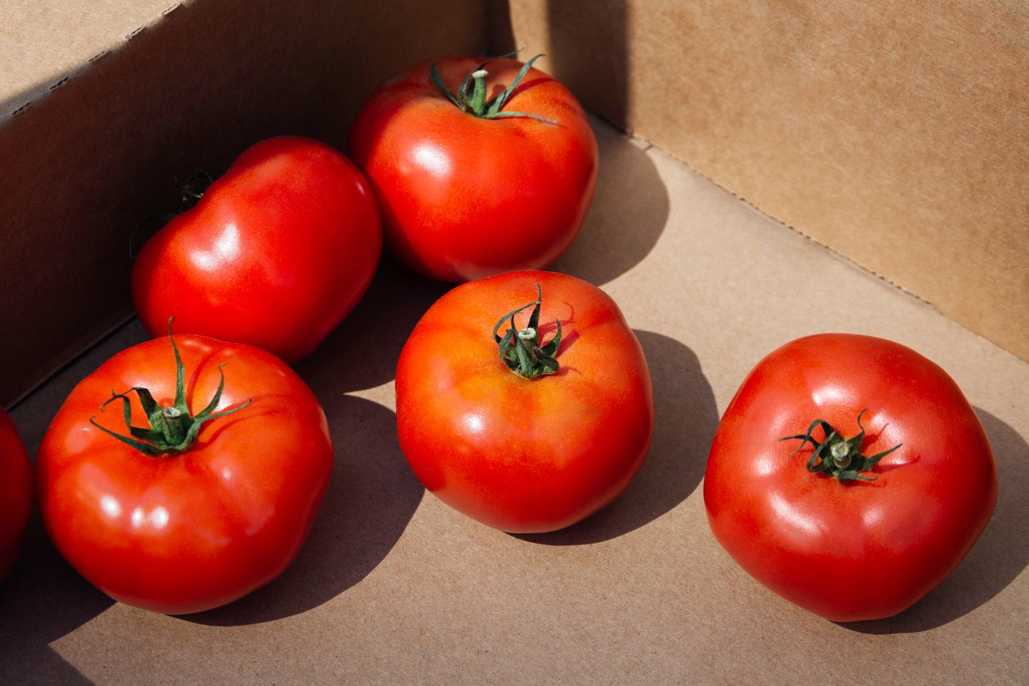 Six ripe red tomatoes with green stems rest on a cardboard surface, their shiny skins highlighted by natural light.